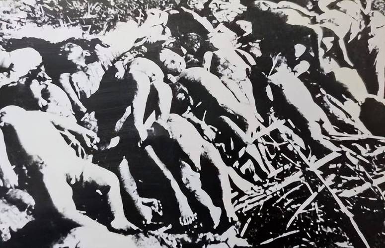 【甘肃省庆阳市华池县境外输入已结束3地,甘肃庆阳华池枪杀事件】