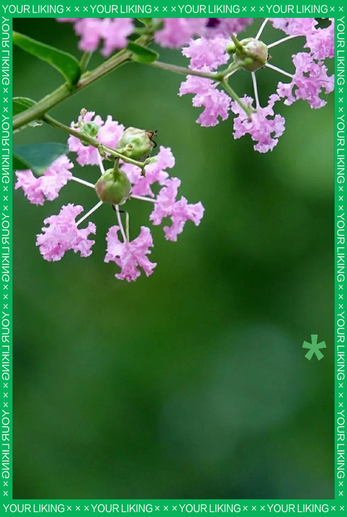 安宁静默标准最新公布_安宁安静