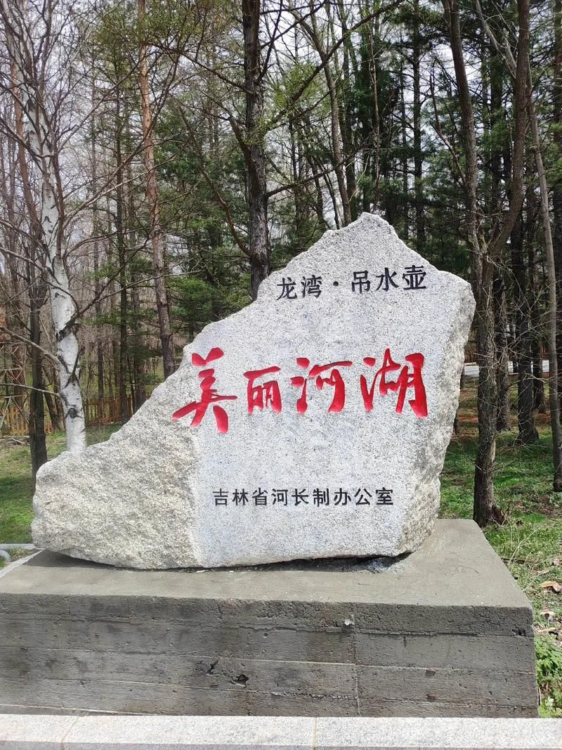 【吉林通化辉南县管控区区境外输入详情,通化辉南县疫情】