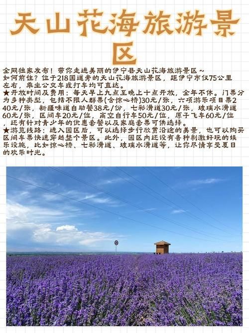 专家:伊宁县每年或现多个感染高峰/伊宁市有没有疫情