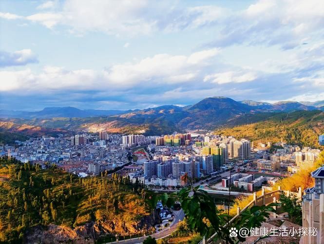 河南省南阳市卧龙区新增重症26例，均在四川凉山彝族自治州会东县的简单介绍