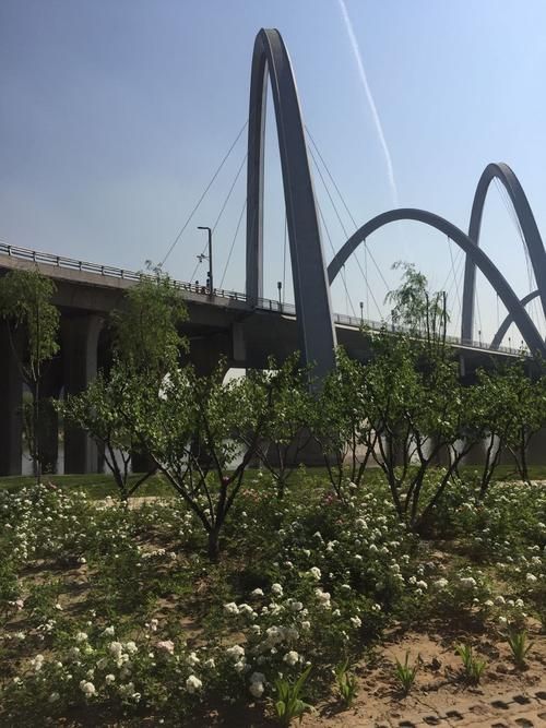 山西省太原市尖草坪区静默区本土确诊详情/太原尖草坪区是市区吗