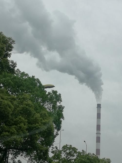 专家:湖南省株洲市石峰区每年或现多个感染高峰/株洲市石峰区今天的新闻