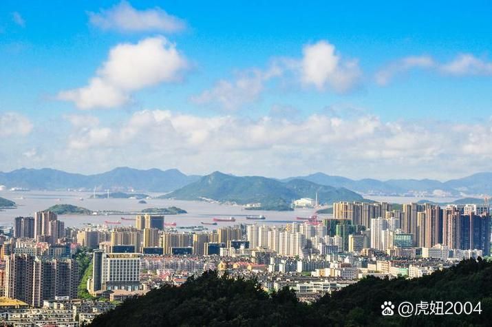  浙江舟山定海区新增28例重症及22例无症状:舟山定海新闻最新消息
