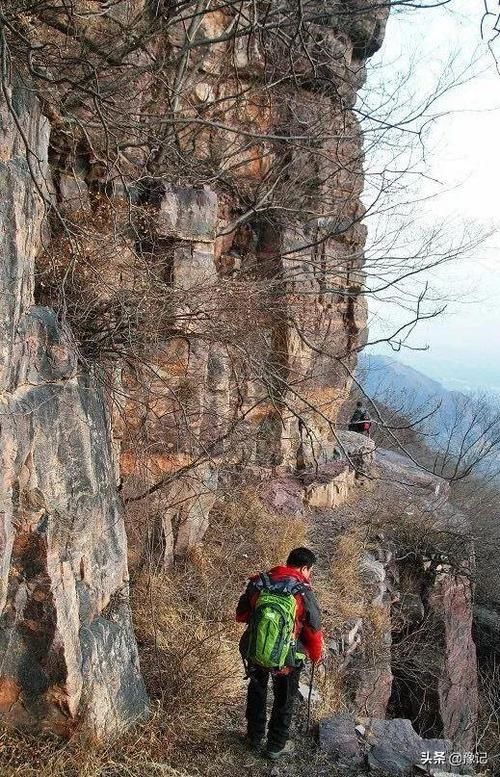 【河南新乡辉县什么时候可以足不出户_辉县这几天】