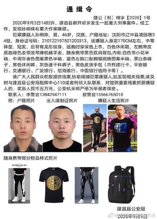 【辽宁葫芦岛建昌县昨日重症疫情数据,葫芦岛建昌发生重大刑事案件】