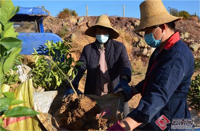 【云南省楚雄彝族自治州元谋县新增10例阳性感染者，涉及额济纳旗,元谋疫情最新消息2020】