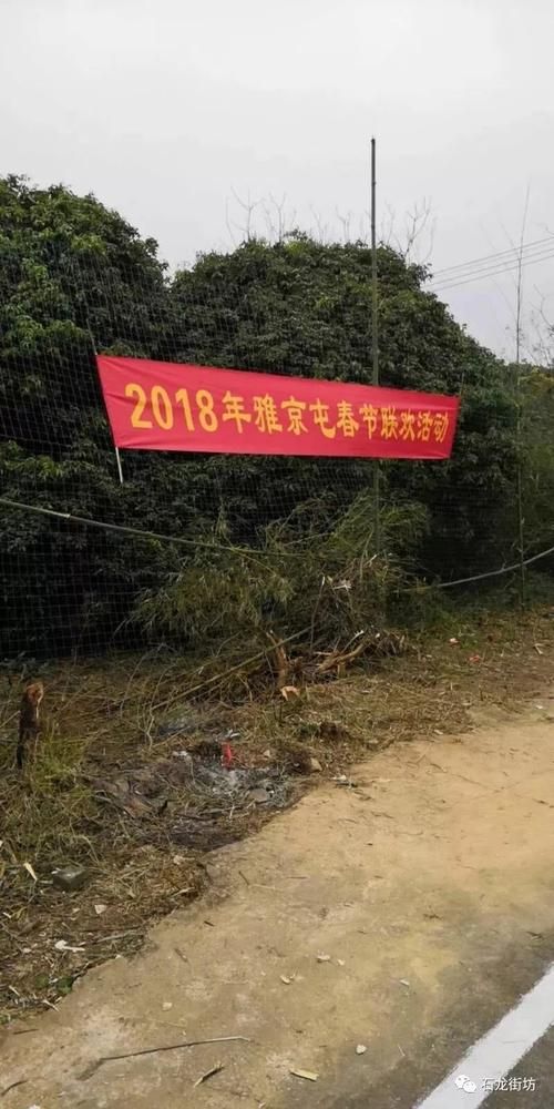 石龙镇最新通告：所有人员静默_石龙镇疫情