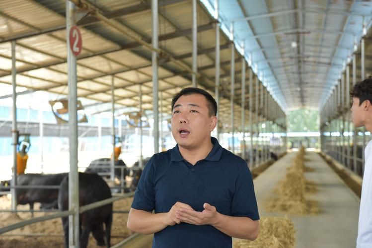 山东省淄博市高青县新增26例阳性感染者及2例无症状/淄博市高青县最近新闻