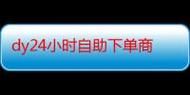 KS24小时自助下单商城,一场电子商务的革命