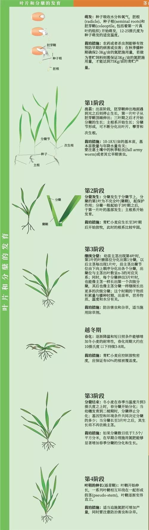 ks一秒5000赞:科普实测通用版下载教程!