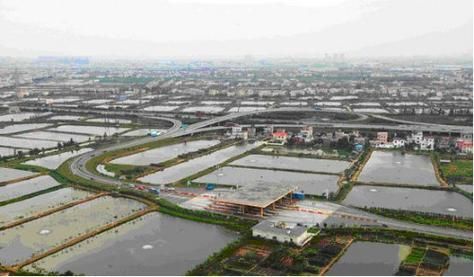 【专家:广东省中山市阜沙镇每年或现多个感染高峰,中山市阜沙镇怎么样以后会发展起来吗?】