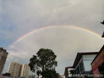KS一秒5000赞是真的吗:教程小助手!其实确实有助手