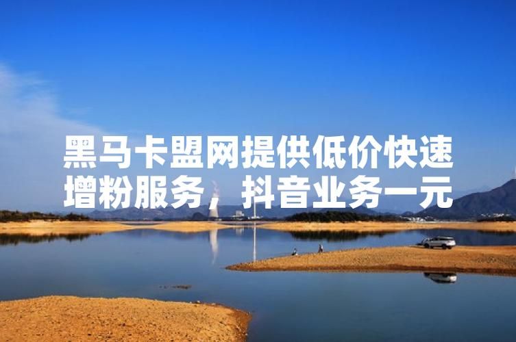 揭秘抖音粉丝卡盟低价背后的真相与风险