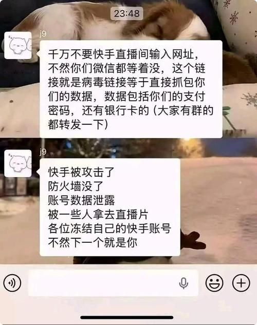 抖音快手双击播放量网站现象，数字背后的真实与虚假
