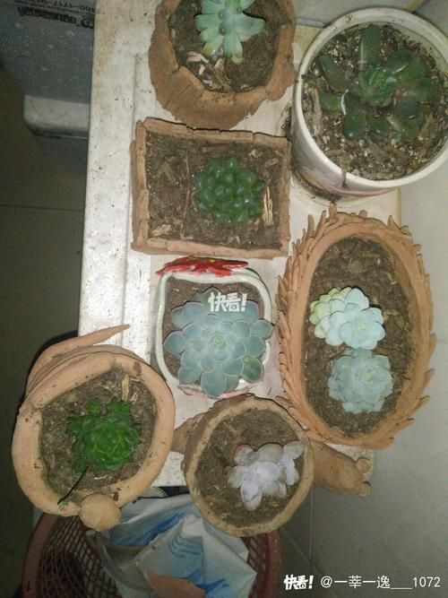 卡盟在线自助下单网站 - 工具运营神器技巧玩法