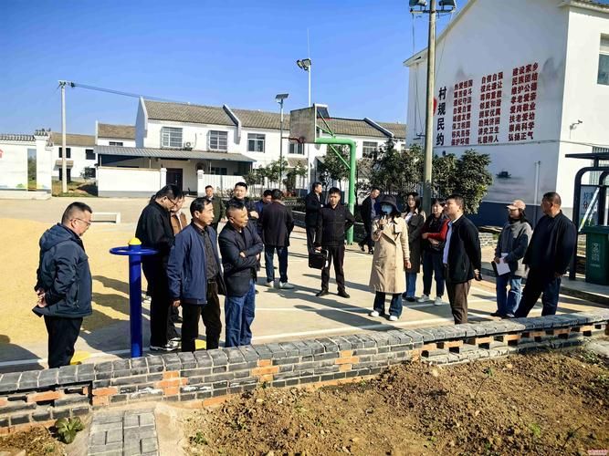  专家:金安区每年或现多个感染高峰:金安区发布