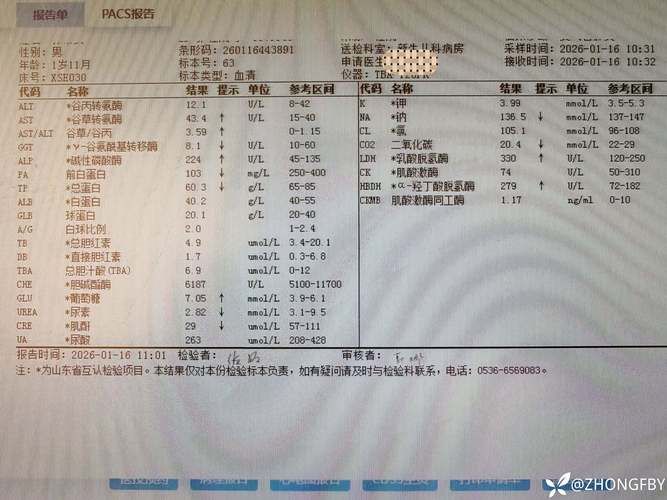 【井陉县近期新增感染趋势爆发,井陉县近期新增感染趋势爆发病例】
