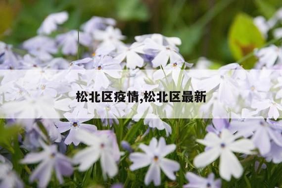 松北区疫情解封最新消息/松北区疫情行动轨迹