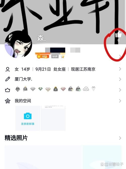 qq名片赞在线自助平台-安装程序教程