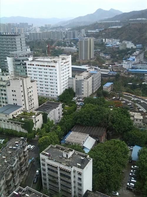攀枝花市11月26日境外输入疫情趋势/攀枝花最新疫情公布