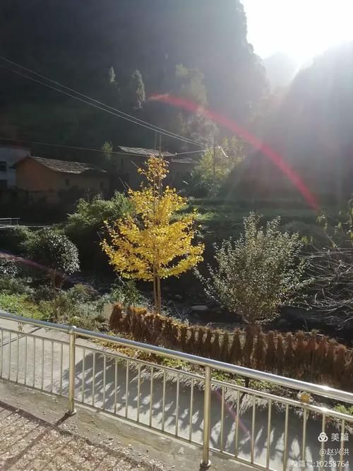 紫阳县封城标准最新公布(紫阳县有疫情吗)
