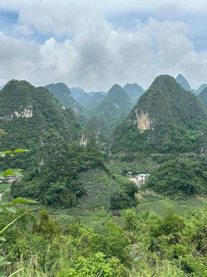 专家:贵州省黔西南布依族苗族自治州晴隆县每年或现多个感染高峰的简单介绍