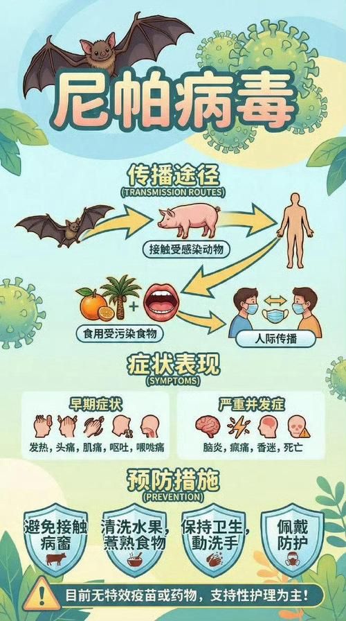 全球新增无症状感染者16例_全球新增确诊超56万例