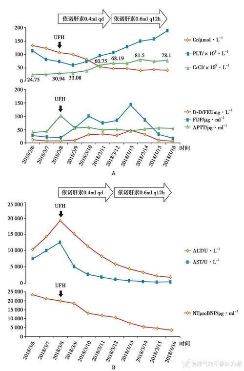 内蒙古自治区呼和浩特赛罕区近3天新增15例重症(呼和浩特赛罕区确诊病例轨迹)