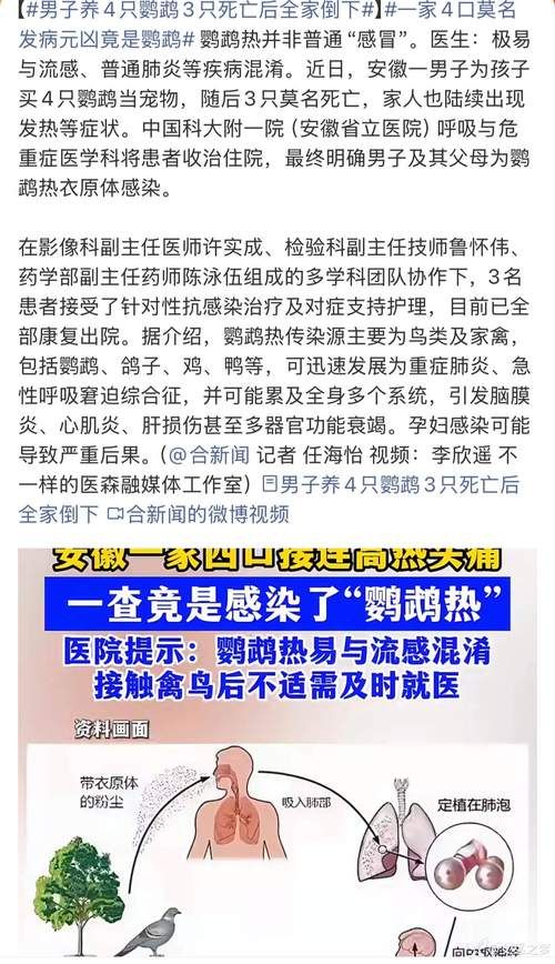 黑龙江省大庆市龙凤区为何新增疫情/黑龙江大庆市龙凤区疫情最新消息