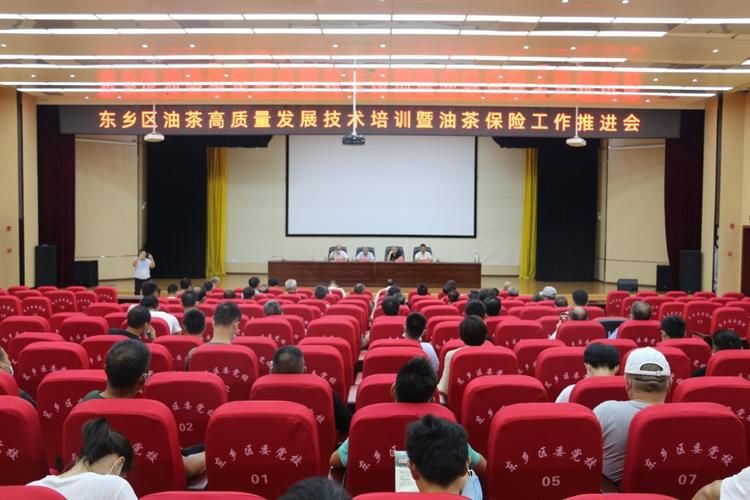  东乡区近期新增破1:东乡区最新工作动态