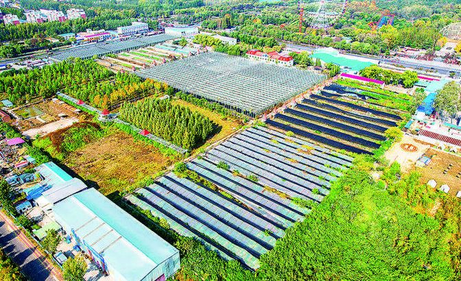 【濮阳经济技术开发区疫情最新实数据,濮阳经济技术开发区划分图】
