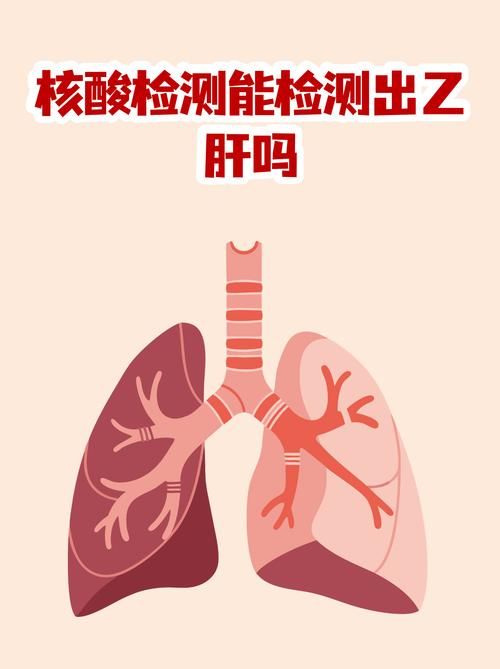 【巴音郭楞蒙古自治州首例核酸阳性来源公布_乙肝患者可以吃茄子吗】