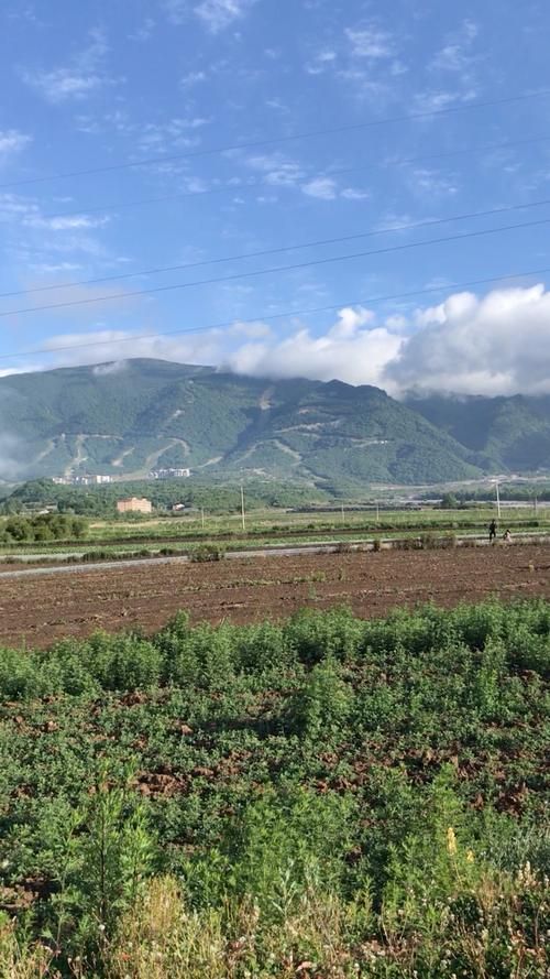 【太白县重症已蔓延8地_太白县最新新闻】