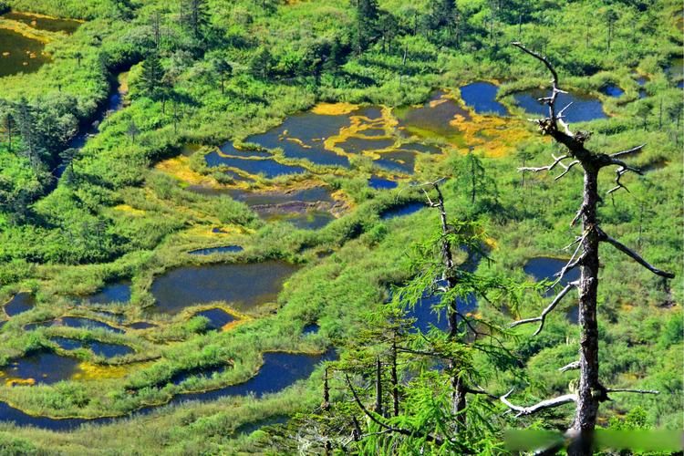  云南怒江傈僳族自治州贡山独龙族怒族自治县新增疫情最新:云南省 怒江傈僳族自治州贡山独龙族怒族自治县号段139