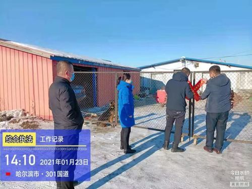 阿城区疫情最新消疫情况(阿城区位置)