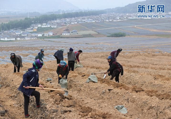 布拖县新增21例本土确诊，涉及荆门(布拖县2026工程最新消息)
