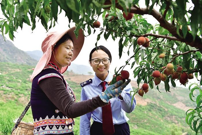 包含元江哈尼族彝族傣族自治县新增1例重症，涉及内蒙古自治区通辽市科尔沁区的词条